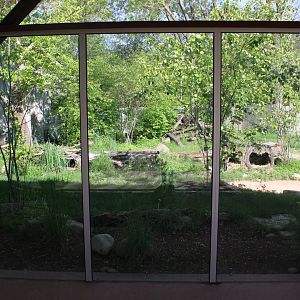 May. 2021 - Australian Adventure - Tasmanian Devil Exhibit