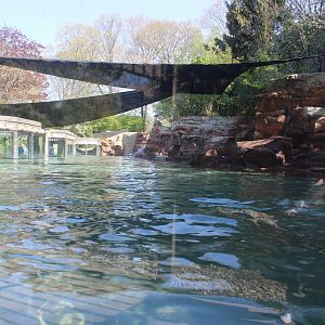 May. 2021 - Zoo Central - Sea Lion Exhibit