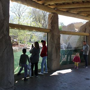 May. 2021 - Zoo Central - River Otter Exhibit