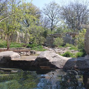 May. 2021 - Zoo Central - River Otter Exhibit