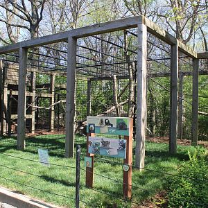 May. 2021 - Zoo Central - White-faced Saki/Red-rumped Agouti Exhibit