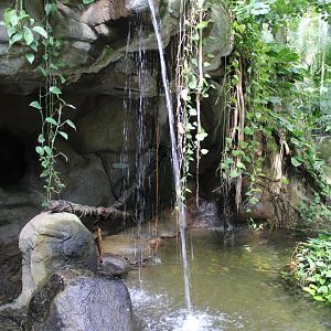 May. 2021 - Indonesian Rainforest - Dome Waterfall