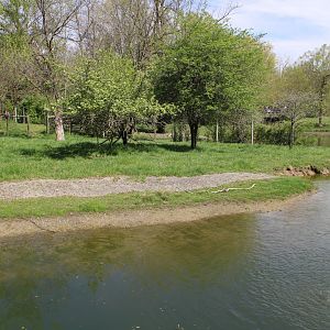 May. 2021 - African Journey - Sitatunga Exhibit