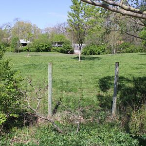 May. 2021 - African Journey - Savanna Exhibit