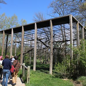May. 2021 - African Journey - Black-and-White Colobus/Allen's Swamp Monkey Exhibit