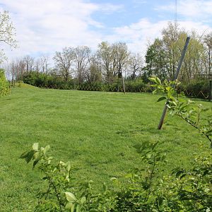 May. 2021 - African Journey - Reticulated Giraffe Exhibit (Right Side)