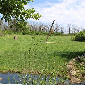 May. 2021 - African Journey - Reticulated Giraffe Exhibit (Left Side)