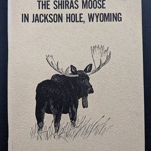 The Shiras Moose in Jackson Hole, Wyoming