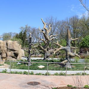 May. 2021 - Zoo Central - White-throated Capuchin Exhibit