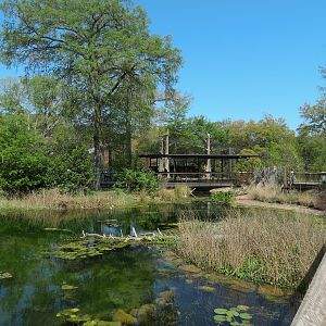 Texas Wetlands - Lake Viewpoint