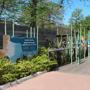 Texas Wetlands - Entry