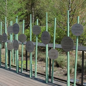 Texas Wetlands - Entry