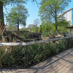Texas Wetlands - Bald Eagle Exhibit - Viewing Area