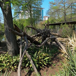 Texas Wetlands - Bald Eagle Exhibit