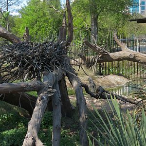 Texas Wetlands - Bald Eagle Exhibit