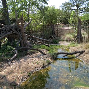 Texas Wetlands - Bald Eagle Exhibit