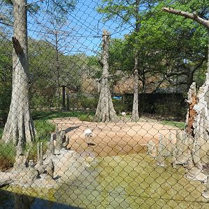 Texas Wetlands - Whooping Crane Exhibit