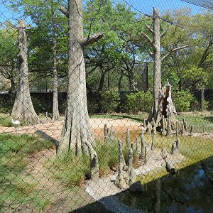 Texas Wetlands - Whooping Crane Exhibit