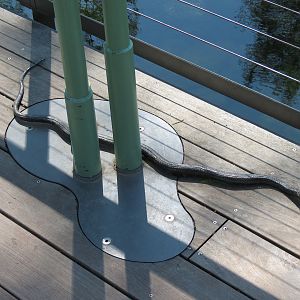 Texas Wetlands - Snake Sculpture at Base of Sign