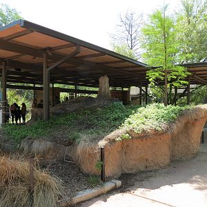 Texas Wetlands - American Alligator Exhibit - Viewing Shelter