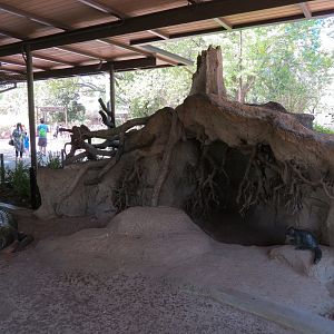 Texas Wetlands - American Alligator Exhibit - Viewing Shelter