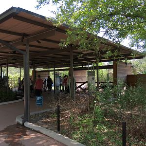 Texas Wetlands - American Alligator Exhibit - Viewing Shelter