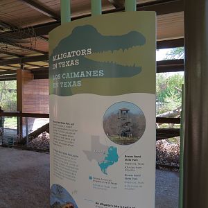 Texas Wetlands - American Alligator Exhibit - Sign
