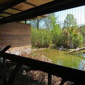 Texas Wetlands - American Alligator Exhibit - Viewing Shelter
