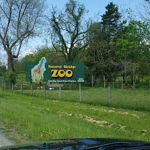 Natural Bridge Zoo - Nearby billboard with goats
