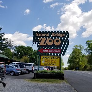 Natural Bridge Zoo - Entrance
