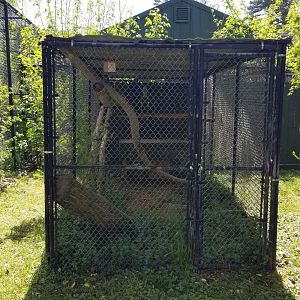 Natural Bridge Zoo - Unsigned, empty?