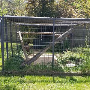 Natural Bridge Zoo - Unsigned, empty?