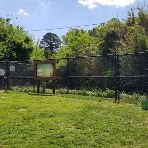 Natural Bridge Zoo - Cassowary exhibit #1 of 2