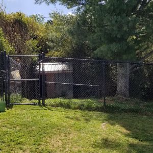 Natural Bridge Zoo - Cassowary exhibit #1 of 2