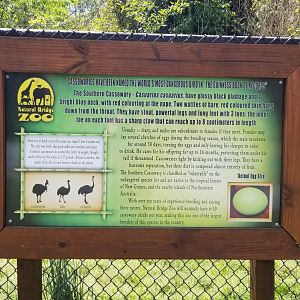 Natural Bridge Zoo - Cassowary sign