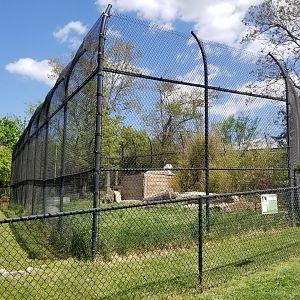 Natural Bridge Zoo - white Tiger