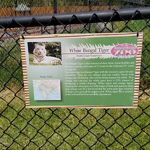 Natural Bridge Zoo - sign example (white Tiger)