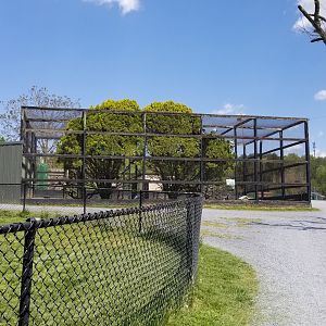 Natural Bridge Zoo - Aviary