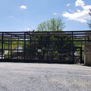 Natural Bridge Zoo - Aviary