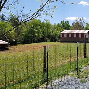 Natural Bridge Zoo - Greater Kudu