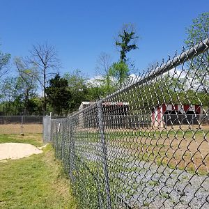 Natural Bridge Zoo - Sitatunga