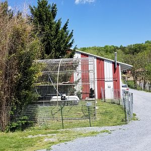 Natural Bridge Zoo - Lar gibbon exhibit #1
