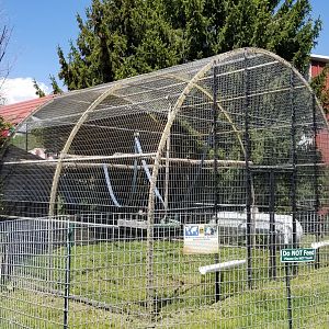 Natural Bridge Zoo - Lar gibbon exhibit #1