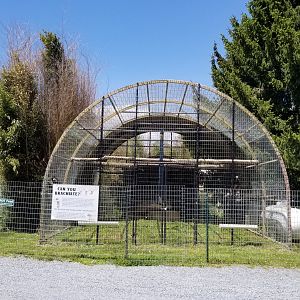 Natural Bridge Zoo - Lar gibbon exhibit #1