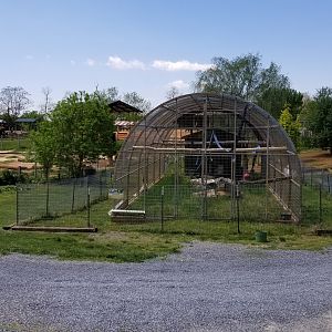 Natural Bridge Zoo - Lar gibbon exhibit #2