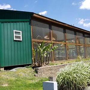 Natural Bridge Zoo - Budgie aviary