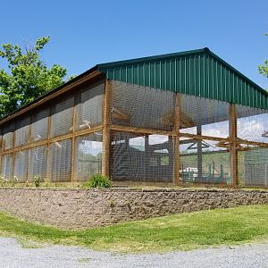 Natural Bridge Zoo - Budgie aviary