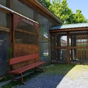 Natural Bridge Zoo - Budgie aviary