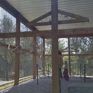 Natural Bridge Zoo - Budgie aviary
