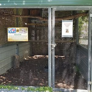 Natural Bridge Zoo - Eurasian Eagle-Owl